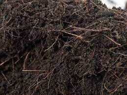 how to dispose garden soil home soils