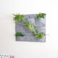 Planter Bag Living Wall Planter Wall
