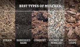 what-color-mulch-lasts-the-longest