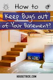 How To Keep Bugs Out Of Your Basement