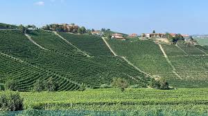 Barbaresco 2016 2017 A Tale Of Two Vintages Nov 2019