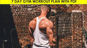 gym workout plan with free pdf