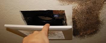 long term bathroom mold prevention