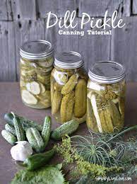 dill pickles canning tutorial grandma