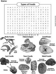 Science worksheets and study guides eighth grade. Types Of Fossils Worksheet Word Search By Science Spot Tpt