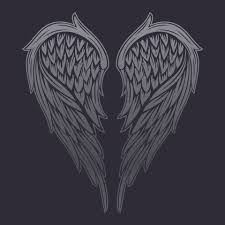 angel wings vector design 24695613