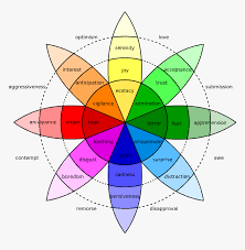 Colour Chart For Choosing A Colour To