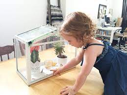 :) this was a long build but the result was really great and i was pleased how it came out. From Caterpillar To Butterfly Habitat Inspiration A Super Simple Ikea Hack With Care I Education And Inspiration I Toronto