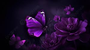 dark purple flowers with erflies