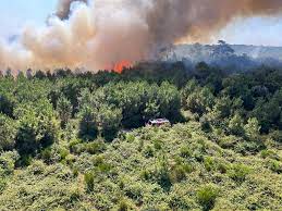 Incendie en Gironde : le feu de forêt de Soulac est fixé, 30 hectares ont  été détruits | Actu Bordeaux