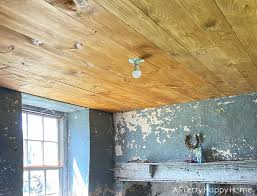 Tongue And Groove Ceiling