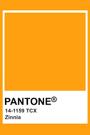Pantone Zinnia In 2019 Pantone Yellow Pantone Color Pallets
