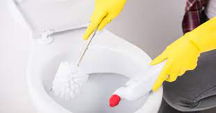 Lavabo ve klozetteki sarı lekeler nasıl çıkar. Tuvalet Temizligi Nasil Yapilir Klozet Nasil Temizlenir Sirke Karbonat Ile