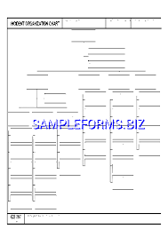 Ics Organizational Chart 2 Pdf Free 1 Pages