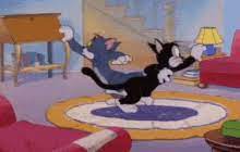 tom and jerry searching gif tom and