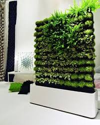indoor vertical garden plantdecors com