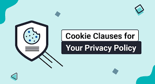 cookie clauses for your privacy policy