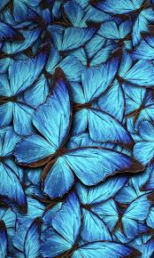 All clipart images are guaranteed to be free. Aesthetic Blue Butterfly Wallpaper