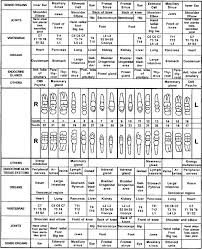 Teeth Gum Reflexology Tooth Chart It Why Brushing Our