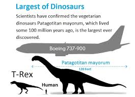 Size Comparison Between The Worlds Biggest Dinosaur And A T