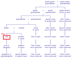 Finally A Chart Explaining Who Your Second Cousin Twice