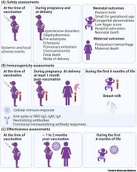 covid 19 vaccines in pregnancy trends