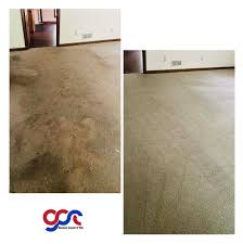 professional carpet and tile cleaning