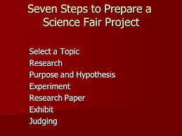 Science Fair Grade by Grade Requirements cutopek   Sample Essays For High School Depression Research Paper    