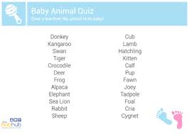 Multiple choice game · hidden answer format . Baby Shower Baby Animal Quiz Bub Hub