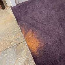 carpet dyeing service quality floor