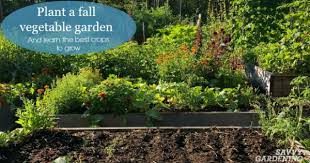 plant a fall vegetable garden with