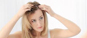 hair loss in menopause garden of life