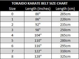 Tokaido Martial Arts Judo Karate Tkd Bjj Belt Sky Blue