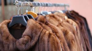 Fur Coats Taken Away From Occupiers
