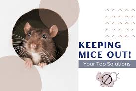 keep mice out of furniture in storage
