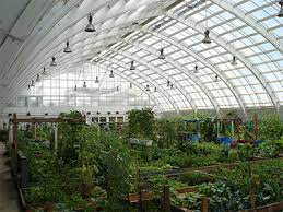 Inuvik Turns Old Arena Into North America's Most Northerly Greenhouse |  First We Eat