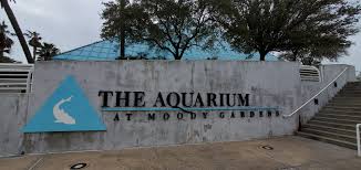 the aquarium at moody gardens galveston tx