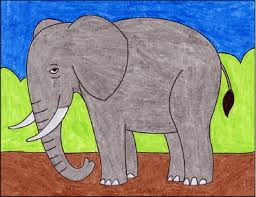 how to draw an elephant art projects