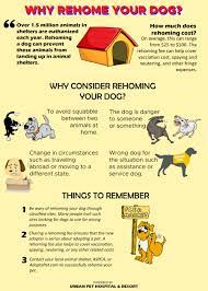 facts about dog rehoming and adoption