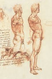 The basic parts of the human body are the head, neck, torso, arms and legs. Figure Drawing Wikipedia