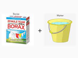 does borax kill mold and mildew how to