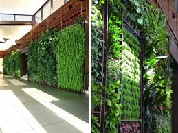 Vertical Garden Living Wall Lebanon