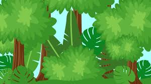 tropical forest background in