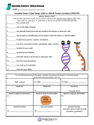 You can & download or print using the browser document reader options. Dna Vs Rna And Protein Synthesis Updated Recap By Amoeba Sisters Rna Biosynthesis