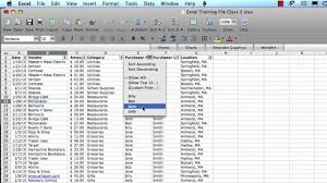Excel 2008 For Mac Using Filters