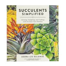 Succulents Simplified Growing