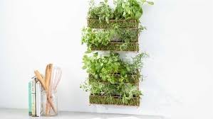 18 Impressive Diy Herb Wall Ideas