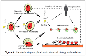 Nanotechnology And Its Applications In Medicine Omics