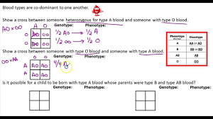 Some of the worksheets displayed are amoeba sisters answer key, amoeba sisters video recap alleles and genes, amoeba sisters genetic drift answer keys, multiple allele work answers, amoeba sisters meiosis work answers, amoeba sisters video. Target B1 2 Co Dominance Blood Type Practice Problems Youtube