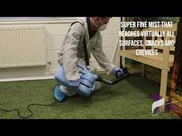 anti bacterial cleaning service